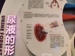 -四川科技馆