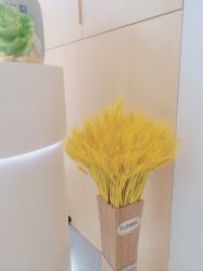 -康美贞·痘肌养护管理中心