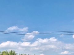 -守柴炉烤鸭(科华中路王府井店)