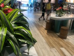 -宝珠奶酪(浦东金桥店)