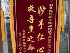 -利又安动物医院··老年病·猫科犬科·中兽医