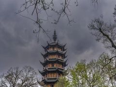 -红梅公园