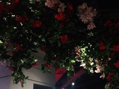 -沪小胖小龙虾(淮海中路旗舰店)
