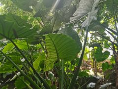 -南通洲际绿博园