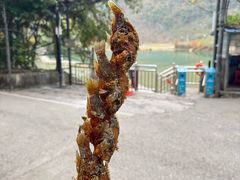 -靖西鹅泉风景区