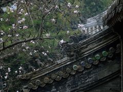 -潭柘寺景区
