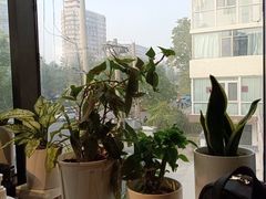 -懒人盐府人家(航天桥店)