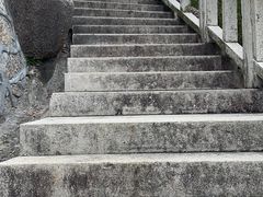 -板樟山森林公园