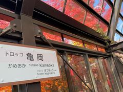 -岚山嵯峨野观光小火车