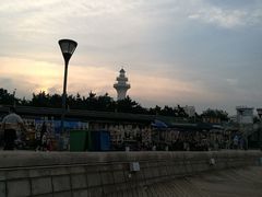 -日照灯塔风景区