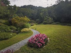 -云溪植物园