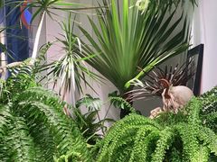 -甲乙果 美术书法(通州校区)