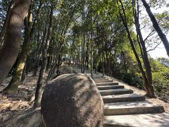 -火炉山森林公园