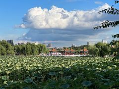 -长春市南湖公园