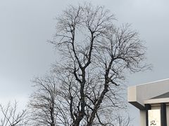 -芷迹江景酒店(五一广场汇景城店)