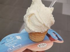-野人先生现做冰淇淋(西安赛格店)