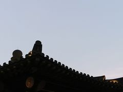 -大唐贡茶院