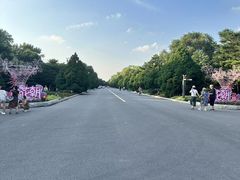-北陵公园
