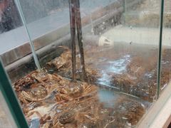-香逸山自助火锅