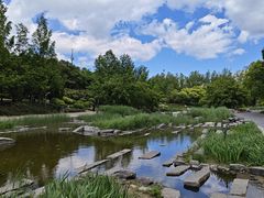 -大望京公园