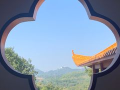 -深圳仙湖植物园
