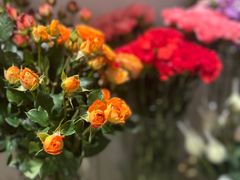 -北边的花店(泛悦城市广场店)