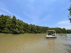 -上海海湾国家森林公园