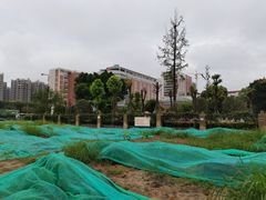 -成都市第一人民医院(南区)
