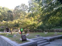 -镇江市南山风景名胜区竹林景区