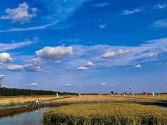-红海滩国家风景廊道