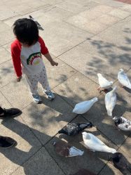 -玄武湖景区-情侣园游乐场