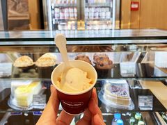 草莓风味酸奶冰淇淋-哈根达斯(世界城店)