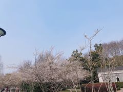 -堤角公园