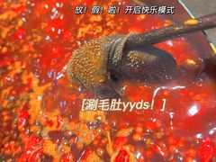 -大虎重庆老火锅(正弘城店)