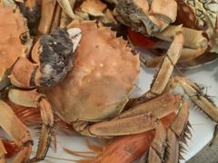 -东方红海鲜百汇(国际大厦店)