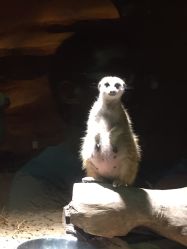 -酷嗒动物文化乐园(cutezoo西溪乐天城店)