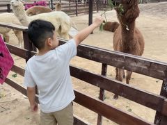 -盈香心动乐园