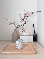 -POCO宝珂丽科技美肤