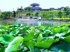 -桃花岛公园