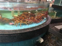 -西贝海鲜汇(槐安路店)