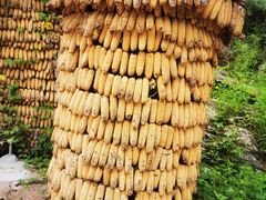 -大平台龙居瀑布旅游区