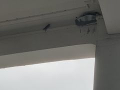 -恩宁刘福记(东华东路店)