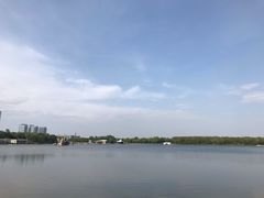 -大兴滨河森林公园