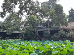 -成都武侯祠博物馆