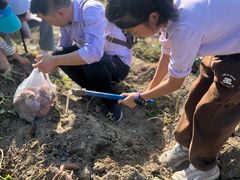 -荔枝红五号农庄