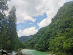 -武陵山森林公园