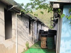 -东湖小天池真人CS彩弹野战基地