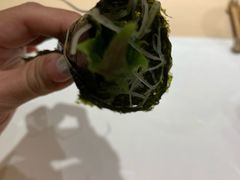 -鮨一日本料理(大中华店)