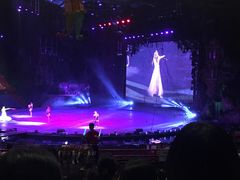 -广州长隆国际大马戏