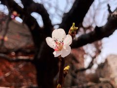 -崂山九水游览区